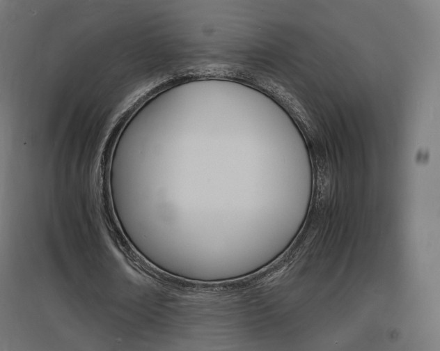 X0000097620674200802290821