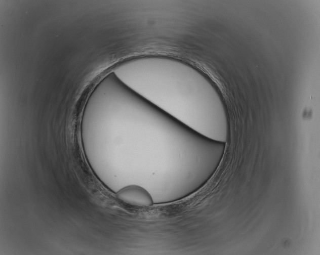 X0000097620675200802290821