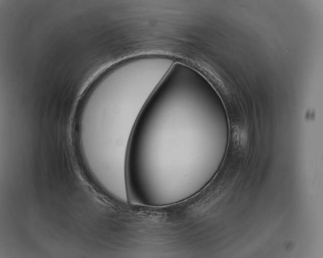 X0000097620676200802290821