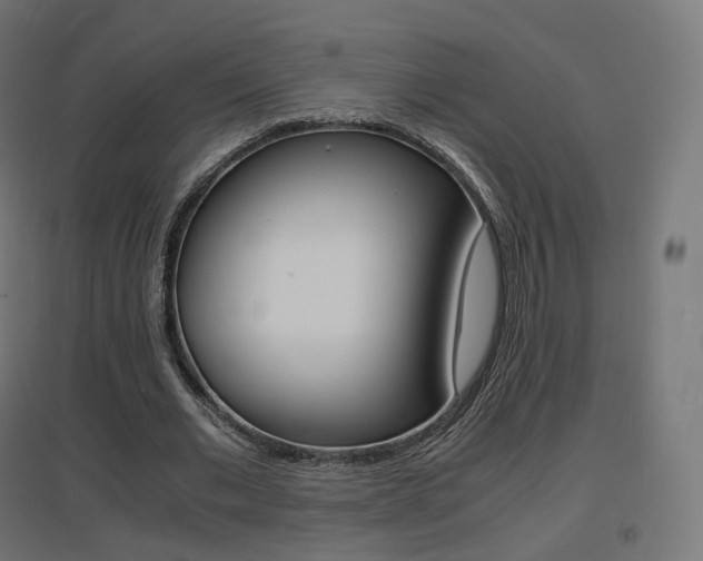 X0000097620677200802290821