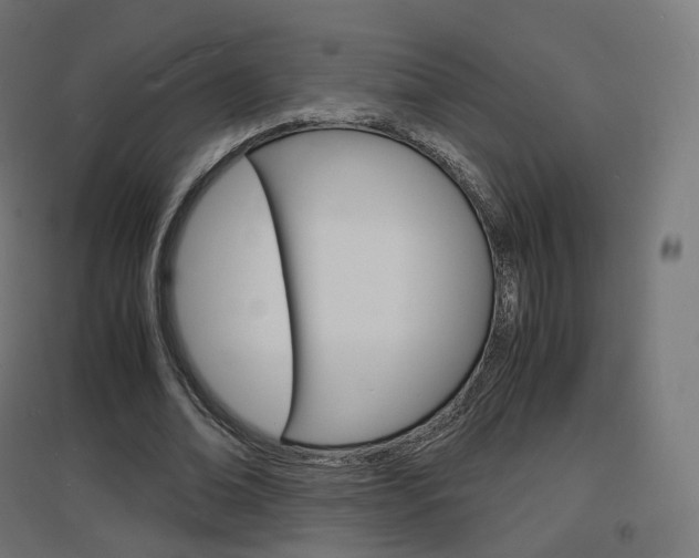 X0000097620678200802290821