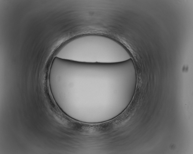 X0000097620679200802290820
