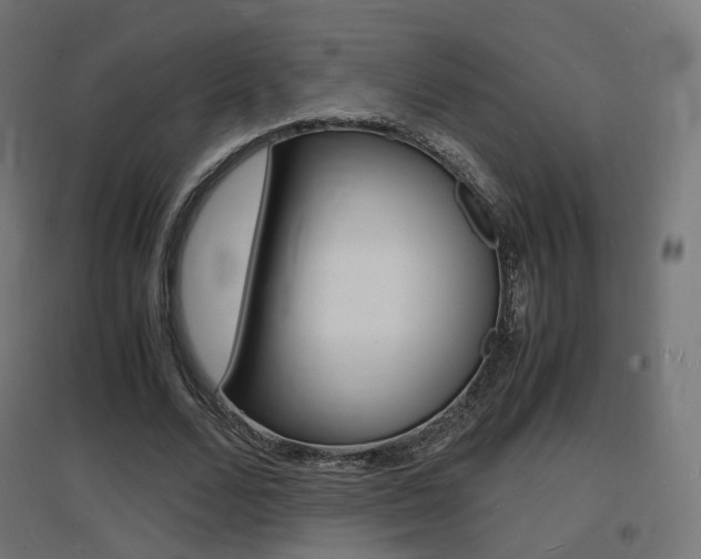 X0000097620680200802290820