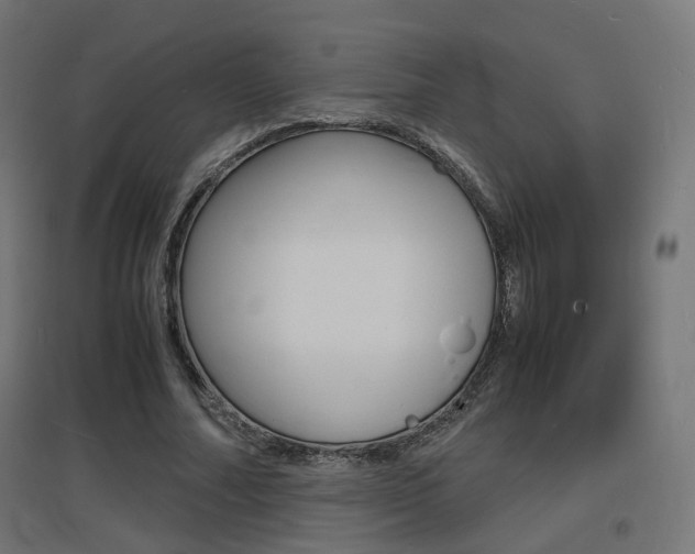 X0000097620682200802290820