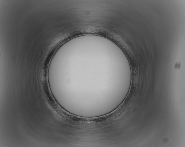 X0000097620683200802290820