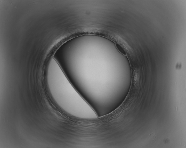 X0000097620684200802290820