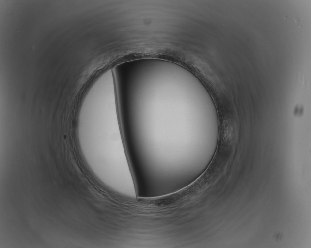 X0000097620685200802290820