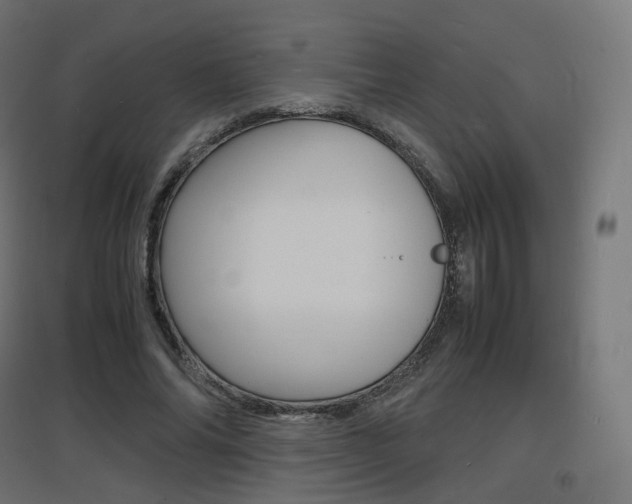 X0000097620686200802290820