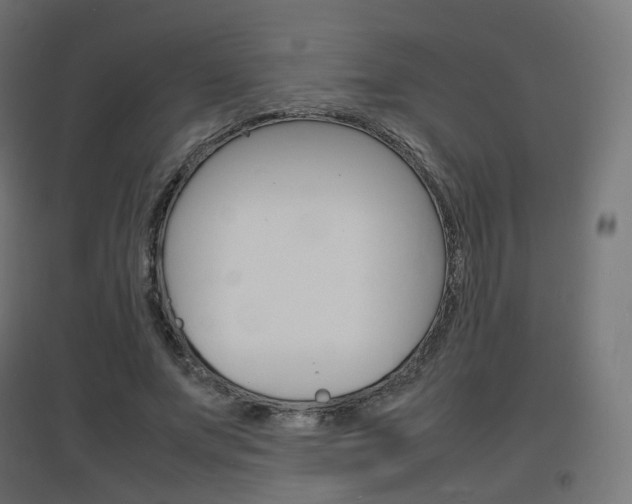 X0000097620687200802290820