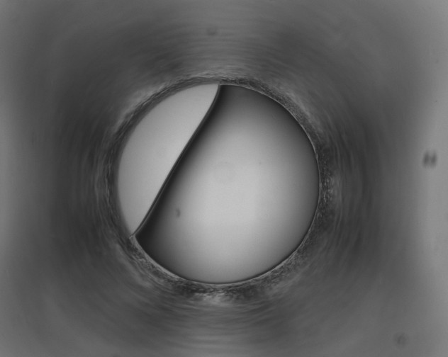 X0000097620688200802290820