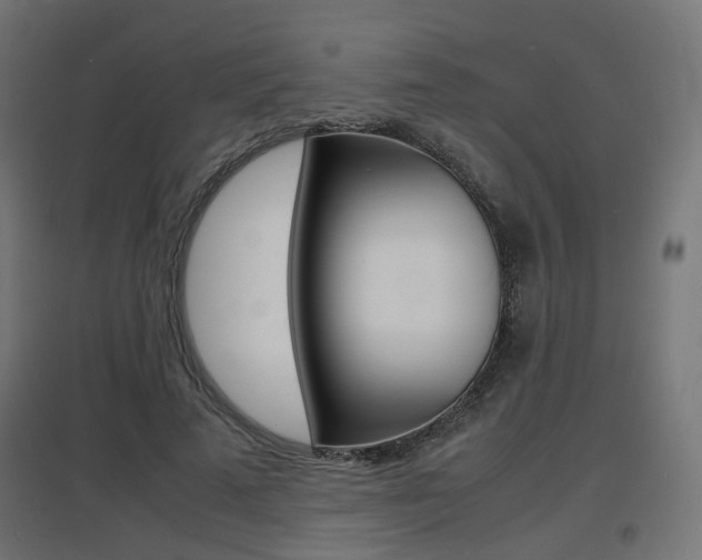 X0000097620689200802290820
