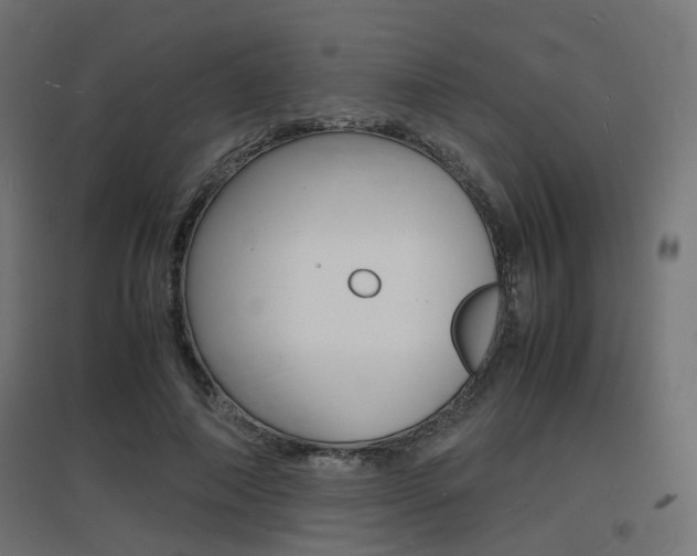 X0000097620690200802290820