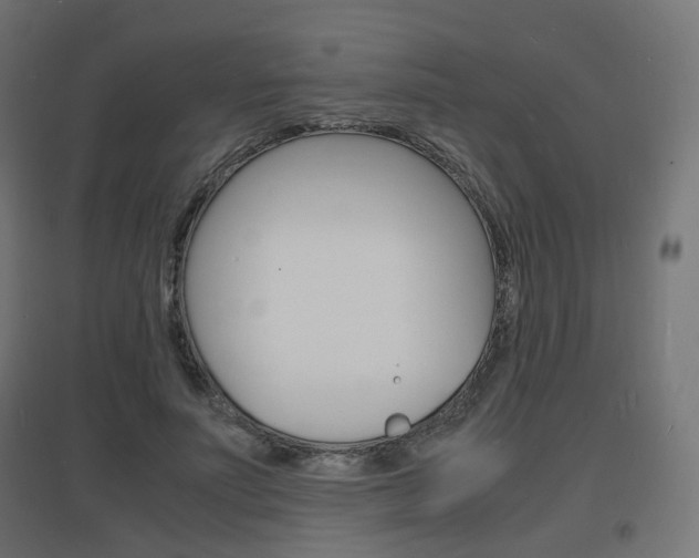 X0000097620691200802290820