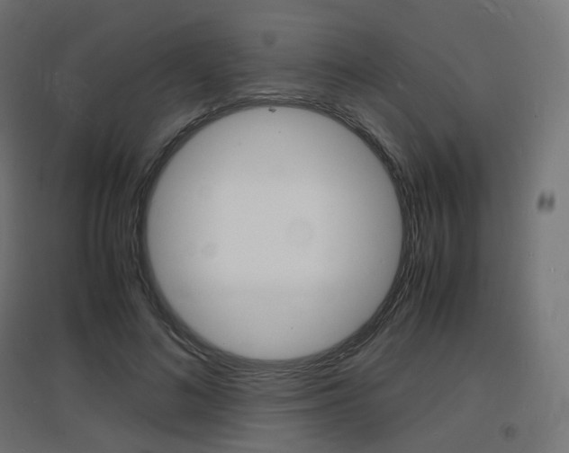 X0000097620692200802290820