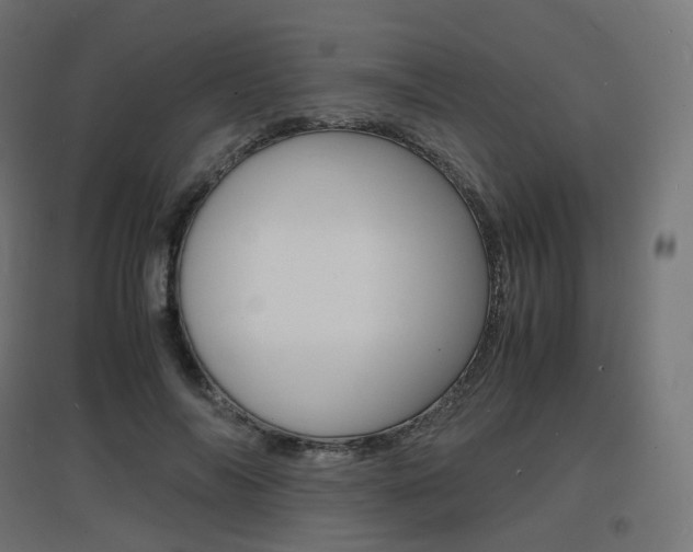 X0000097620694200802290820
