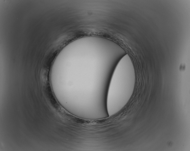 X0000097620695200802290820