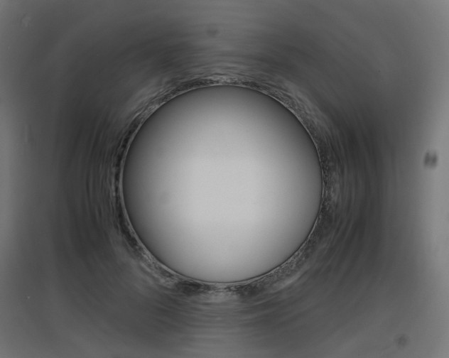 X0000097620696200802290820