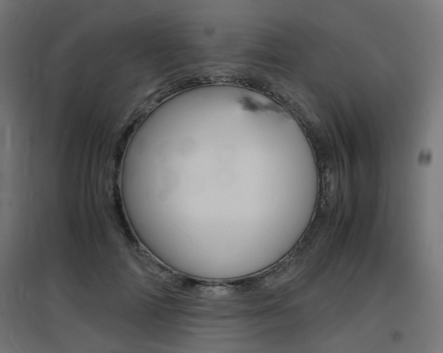 X0000097620698200802290820