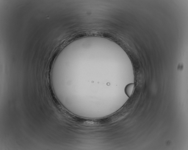X0000097620699200802290820