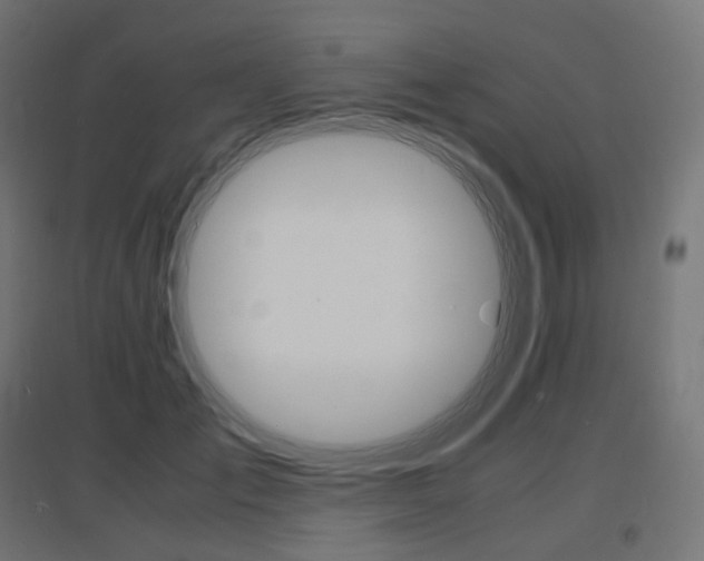 X0000097620701200802290820