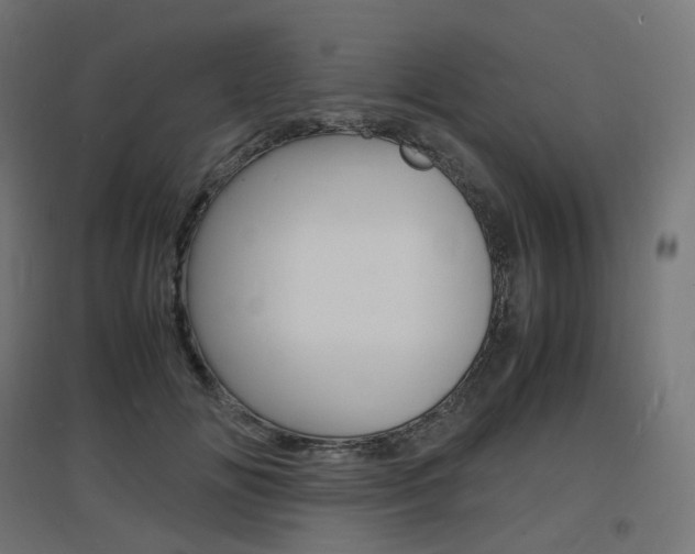 X0000097620702200802290820