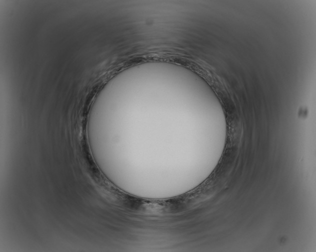 X0000097620703200802290820