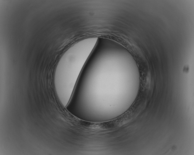 X0000097620704200802290820