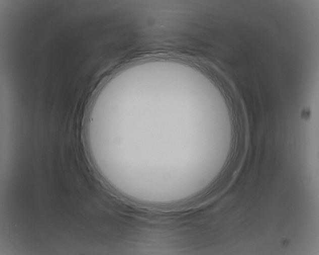 X0000097620705200802290820