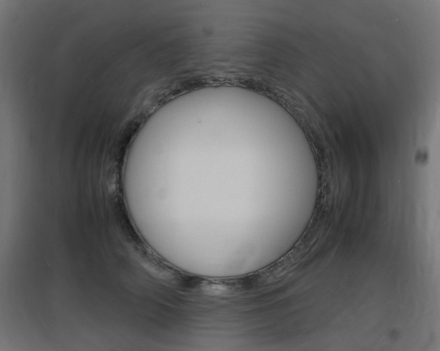 X0000097620706200802290820