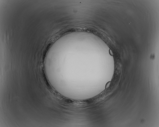 X0000097620707200802290820