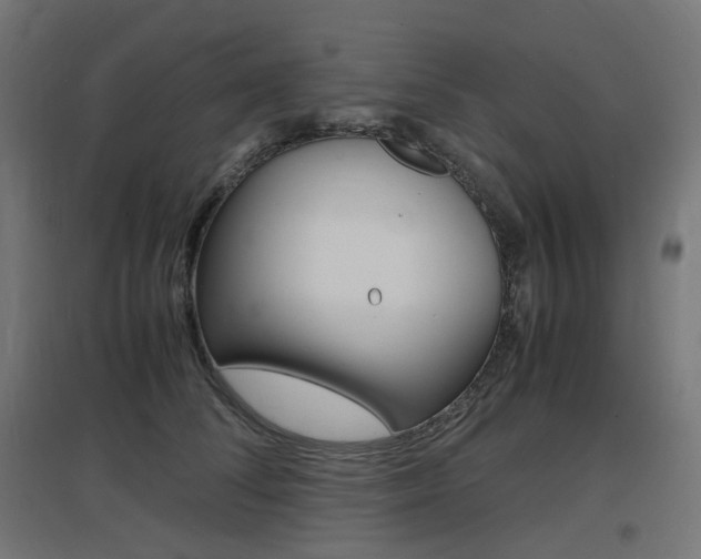 X0000097620708200802290820