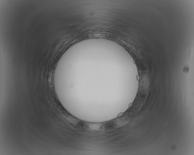 X0000097620709200802290820