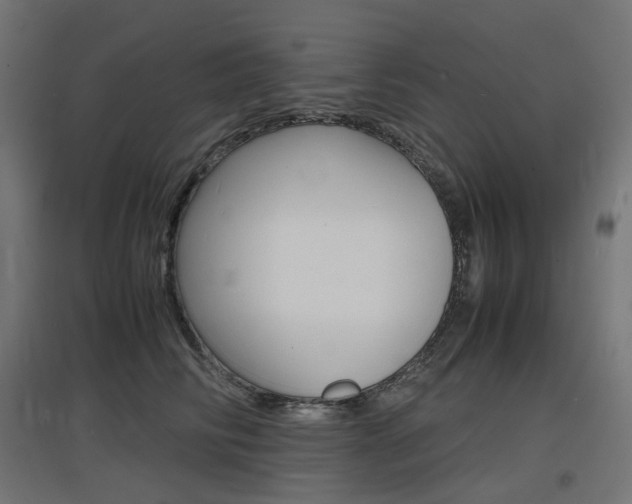 X0000097620710200802290820