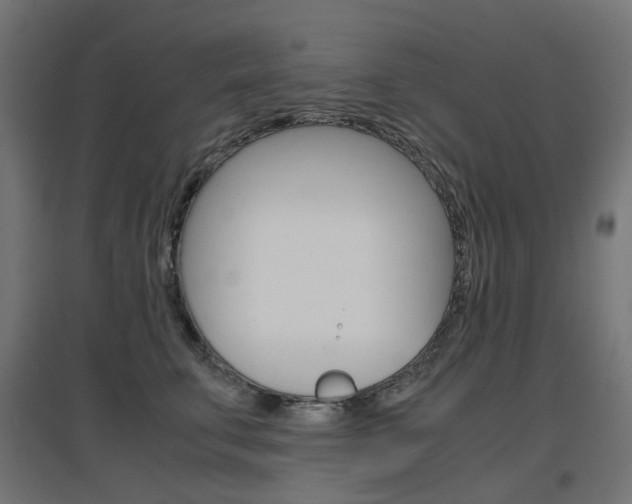 X0000097620711200802290820