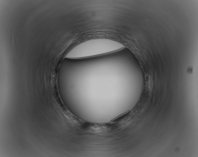 X0000097620712200802290820