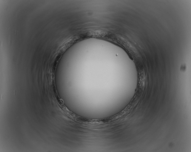 X0000097620716200802290820