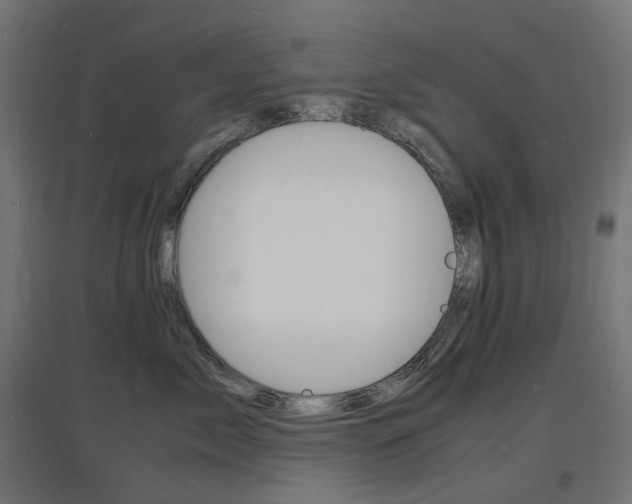X0000097620717200802290820