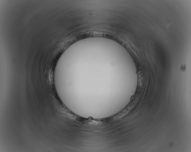 X0000097620718200802290820