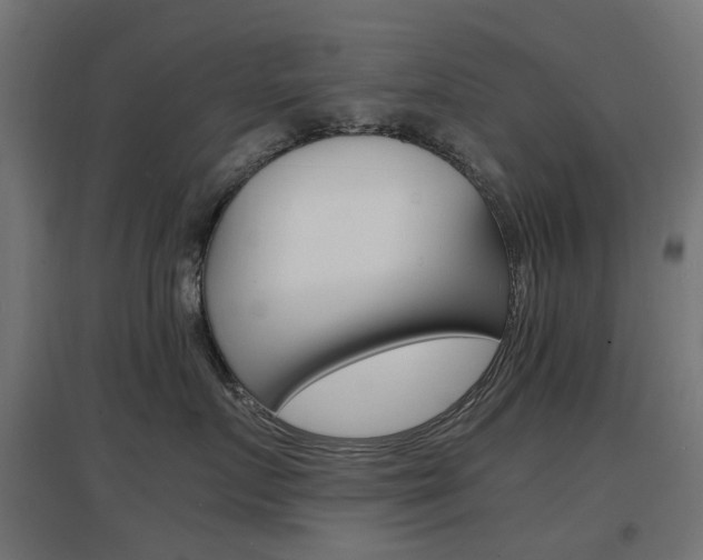 X0000097620719200802290820