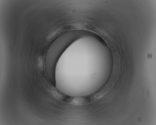 X0000097620720200802290820
