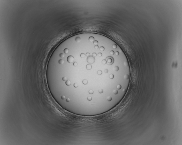X0000097620721200802290819