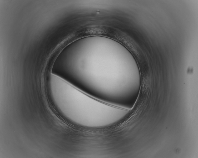 X0000097620722200802290819
