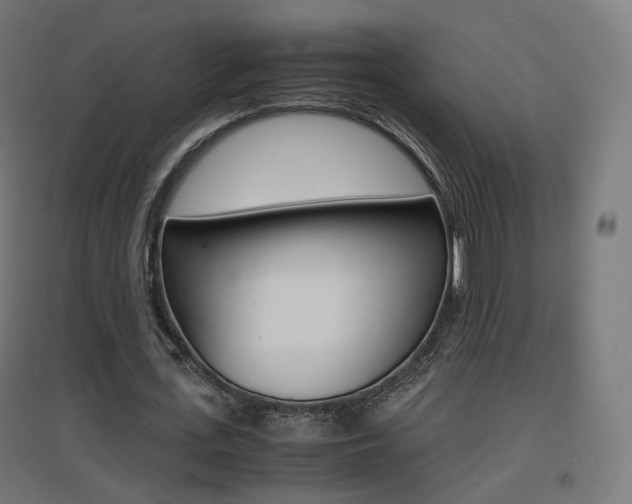 X0000097620723200802290819