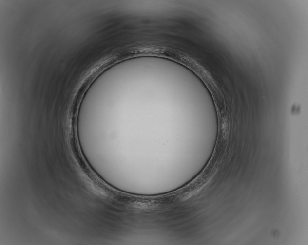 X0000097620725200802290819
