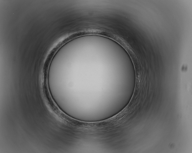 X0000097620726200802290819