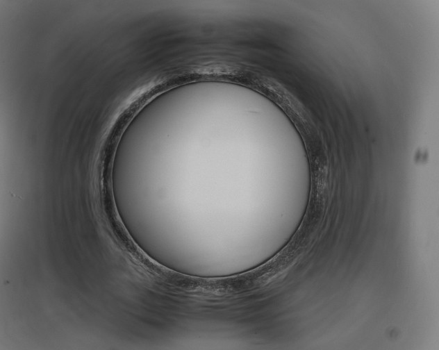 X0000097620727200802290819