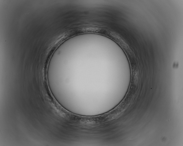 X0000097620729200802290819