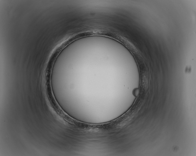 X0000097620730200802290819