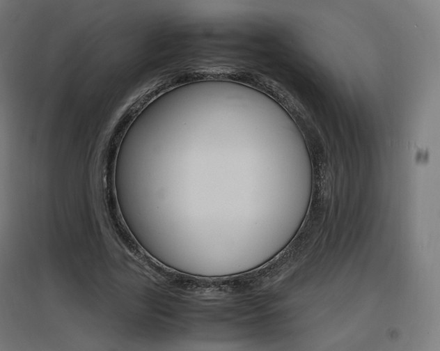 X0000097620731200802290819
