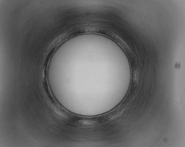 X0000097620733200802290819